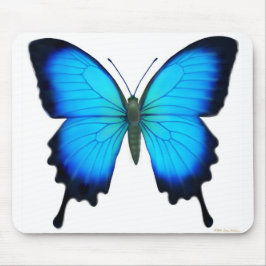 Papilio Ulysses Schmetterling Mousepad