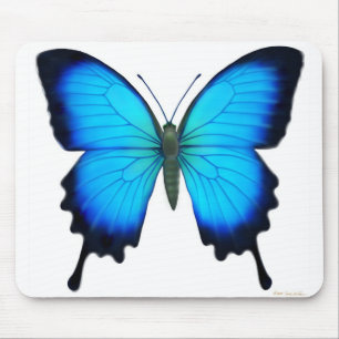 Papilio Ulysses Schmetterling Mousepad