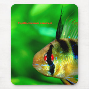 Papiliochromis ramireziの ス ド mousepad