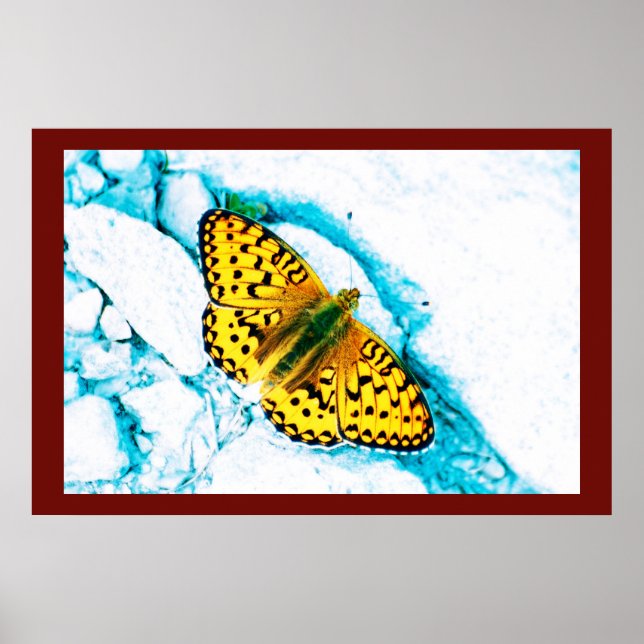 Papillen 2 poster (Vorne)