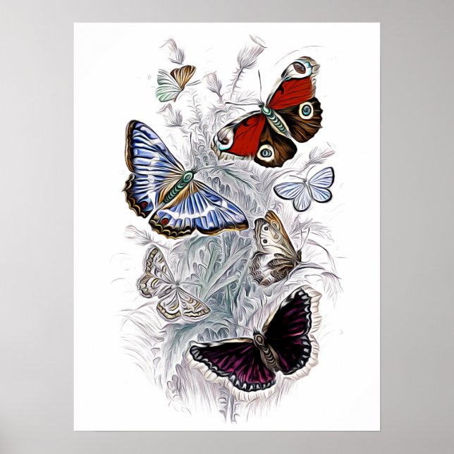 Papillen Poster (Vorne)