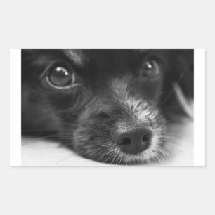 Papillenfläche Rechteckiger Aufkleber