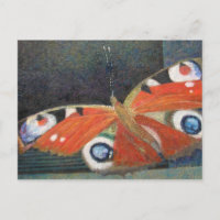 Papillon 2013