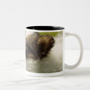 Papillon 2 zweifarbige tasse
