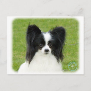 Papillon 9T056D-088 Postkarte