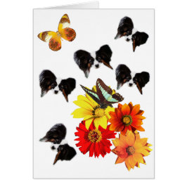 Papillon Butterfly Geschenke