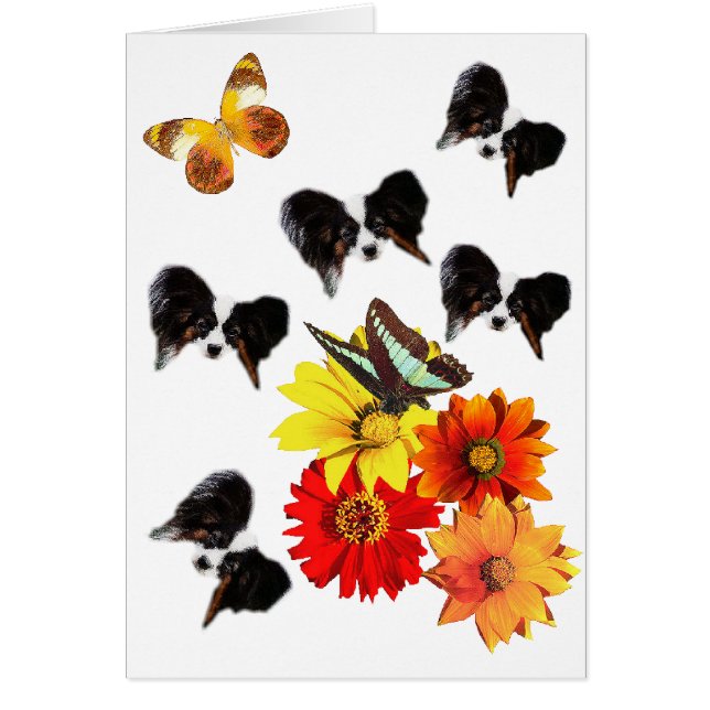 Papillon Butterfly Geschenke (Vorne)