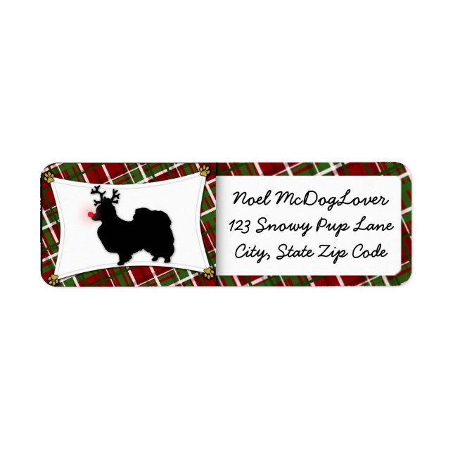Papillon Christmas (Vorne)