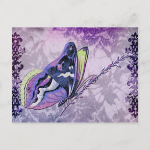 PAPILLON COLORÉ IN LILAC, LILA UND FRÜHEN GRÜNEN POSTKARTE