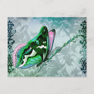 PAPILLON COLORÉ in TEALBLAU, GRÜN und ROSA Postkarte
