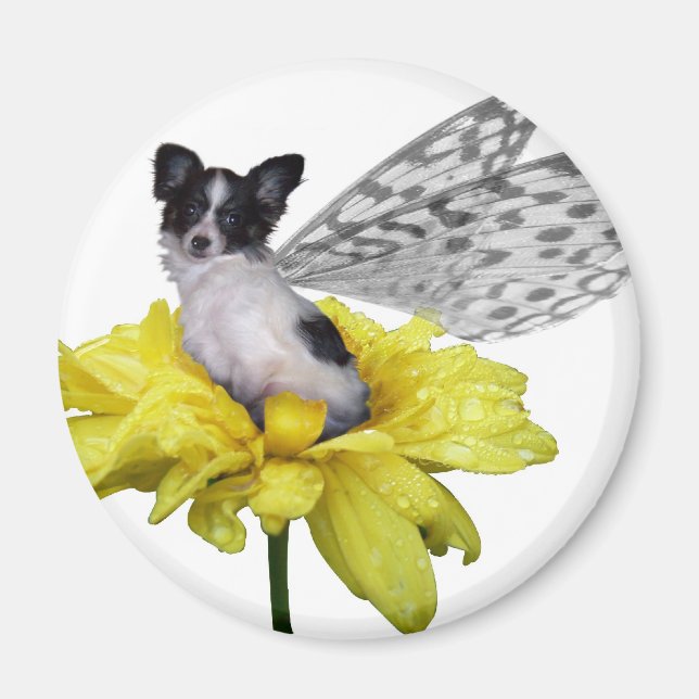 Papillon Dog Fairy Magnet (Vorne)