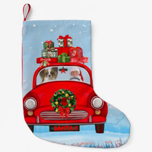 Papillon Dog in Auto mit dem Weihnachtsmann Kleiner Weihnachtsstrumpf