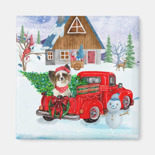 Papillon Dog in Christmas Delivery LKW Schnee Magnet