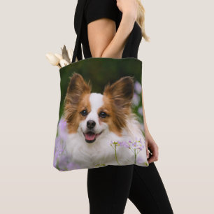 Papillon Dog Niedlich Romantic Potrait Foto -