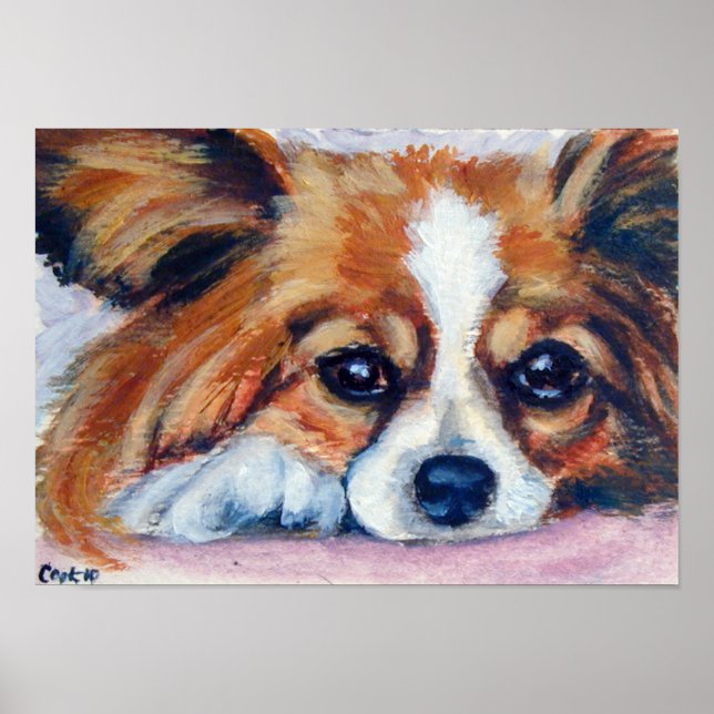 Papillon Dog Print Poster (Vorne)