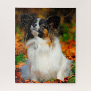 Papillon Dog. Puzzle