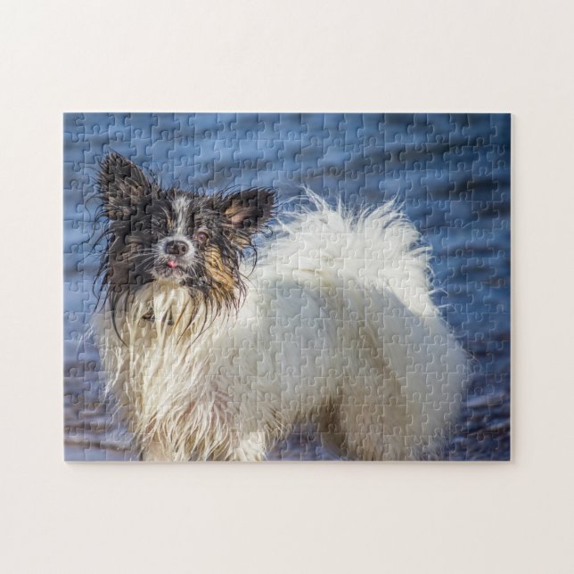 Papillon Dog. Puzzle (Horizontal)
