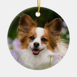 Papillon Dog Romantisches Niedliches Portrait Keramikornament