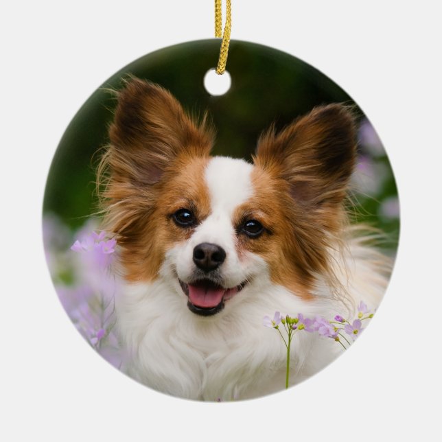 Papillon Dog Romantisches Niedliches Portrait Keramikornament (Vorne)