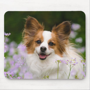 Papillon Dog Romantisches Portrait Mousepad
