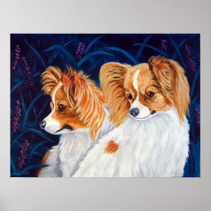 Papillon Dog Wall Print Poster