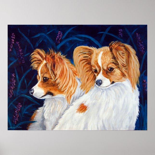 Papillon Dog Wall Print Poster (Vorne)