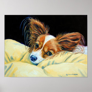 Papillon Dog Wall Print Poster