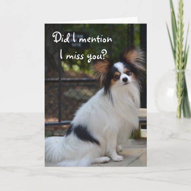 Papillon du fehlst mir Karte (Vorderseite)