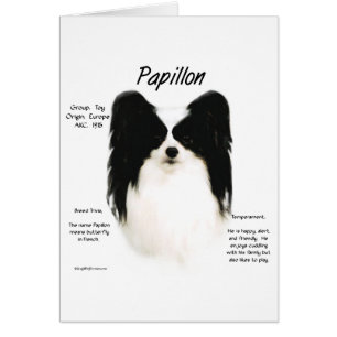 Papillon History Design