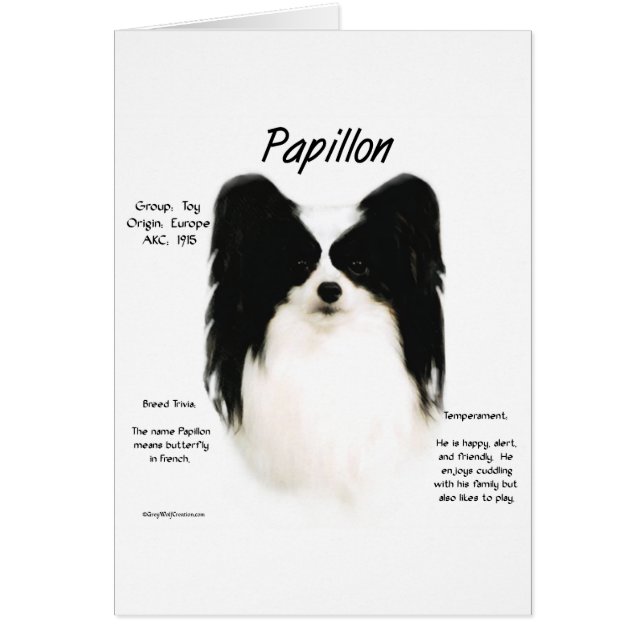 Papillon History Design (Vorne)