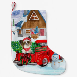 Papillon-Hund im Weihnachtslieferwagen Schnee Kleiner Weihnachtsstrumpf
