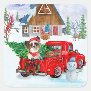 Papillon-Hund im Weihnachtslieferwagen Schnee Quadratischer Aufkleber