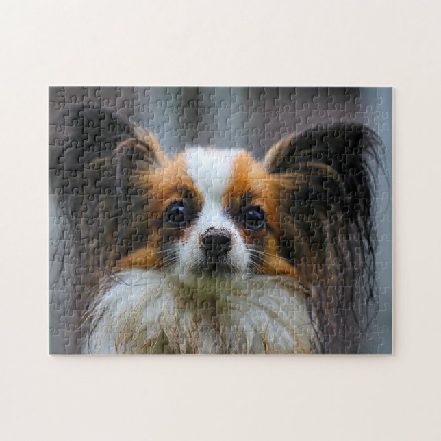 Papillon-Hund. Puzzle (Horizontal)