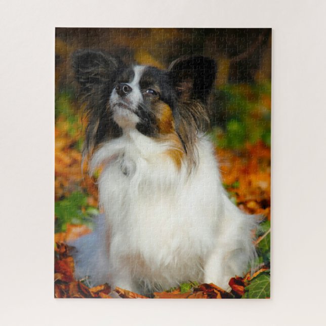 Papillon-Hund. Puzzle (Vertikal)
