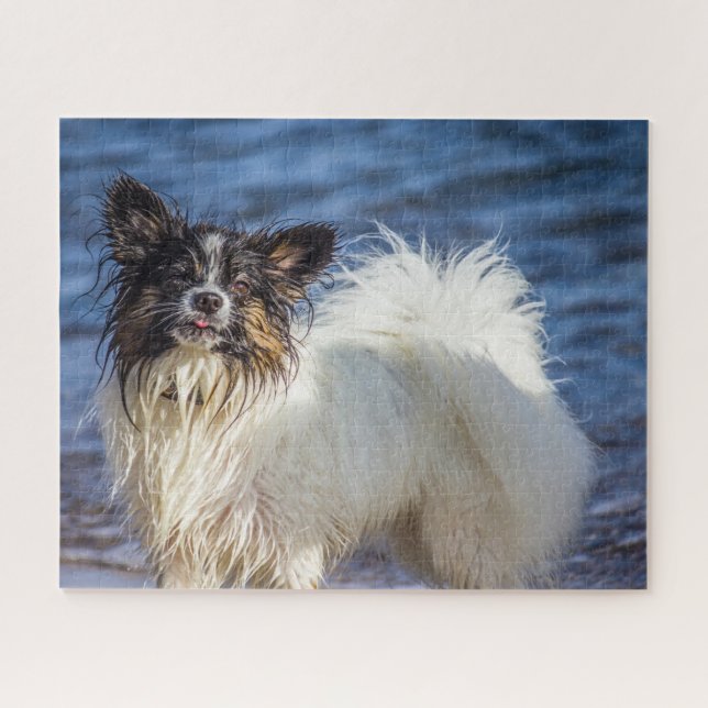 Papillon-Hund. Puzzle (Horizontal)