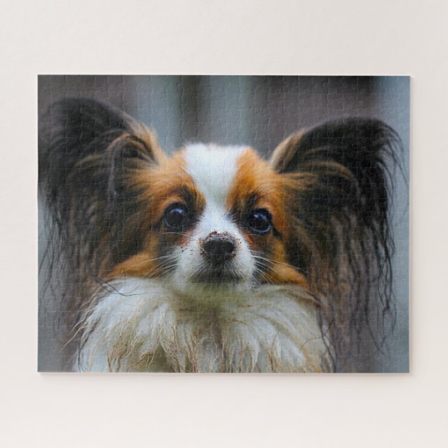 Papillon-Hund. Puzzle (Horizontal)