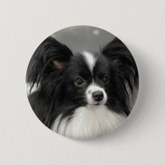 Papillon Hundeknopf Button