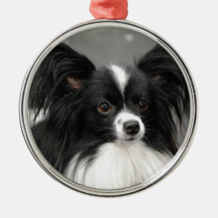 Papillon Hundeverzierung Silbernes Ornament