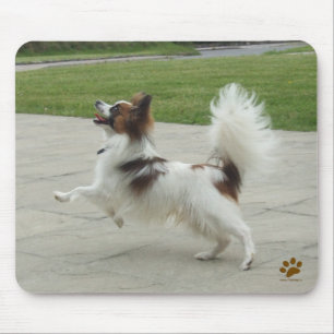 Papillon Jumping Mousepad