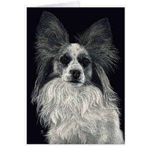 Papillon Karte - "Glitzern "