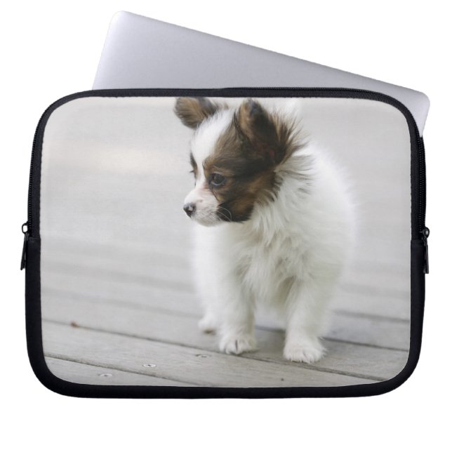 Papillon Laptopschutzhülle (Vorderseite)