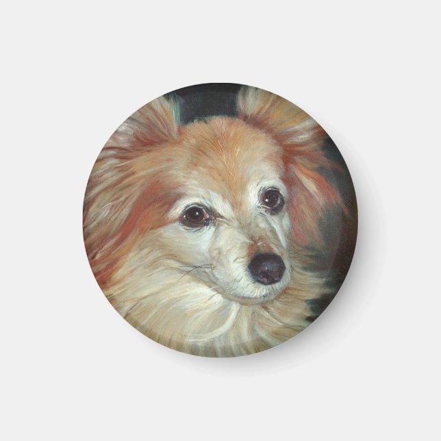 Papillon Magnet (Vorne)