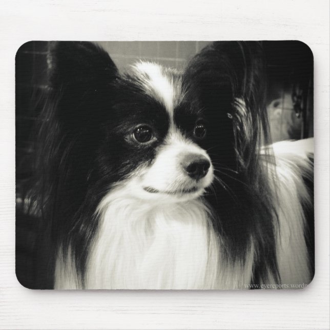 papillon mousepad