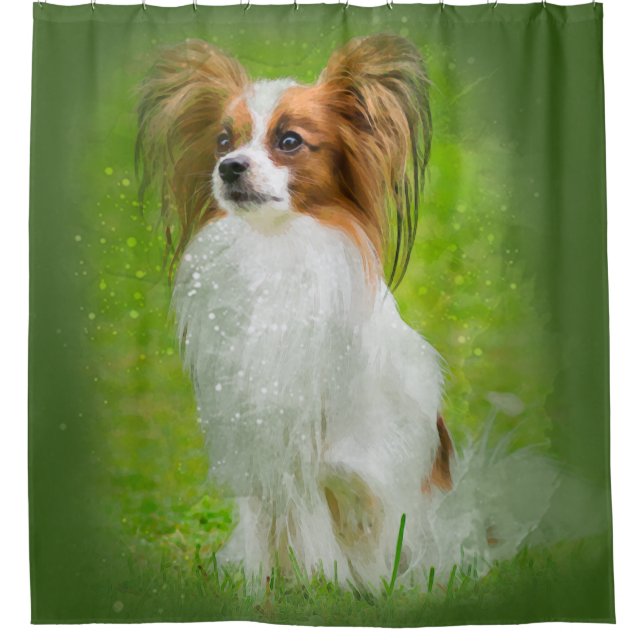 Papillon, Papillon, Papillon-Hunde, Papillon-Hund, Duschvorhang (Vorderseite)