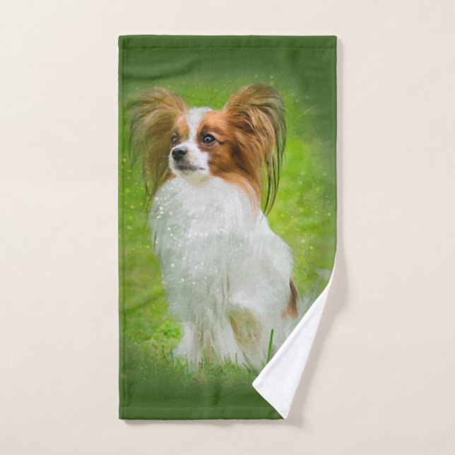 Papillon, Papillon, Papillon-Hunde, Papillon-Hund, Handtuch (Handtuch)