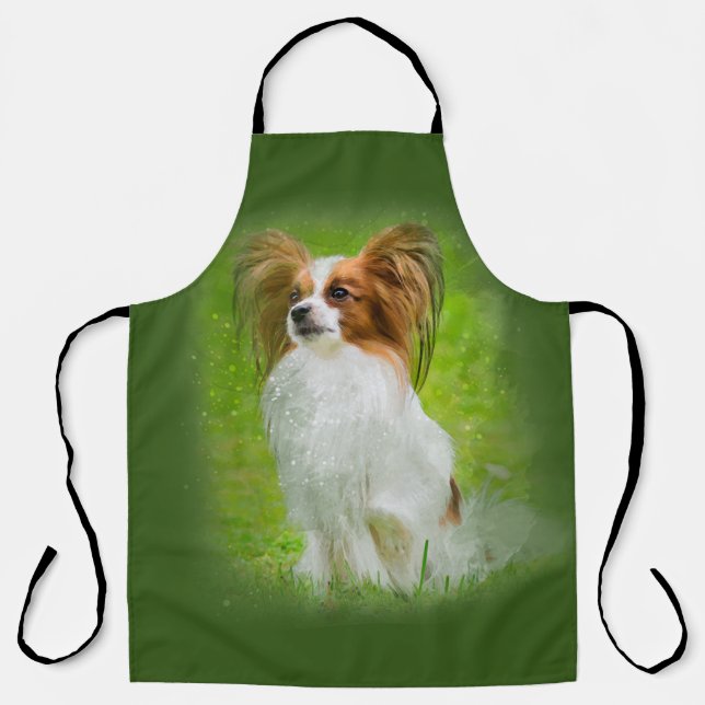 Papillon, Papillon, Papillon-Hunde, Papillon-Hund, Schürze (Vorderseite)