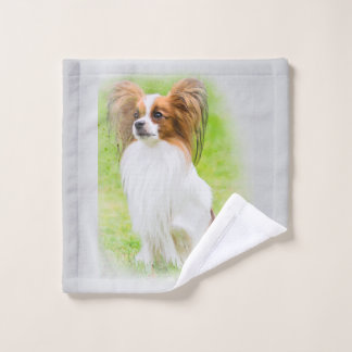 Papillon, Papillon, Papillon-Hunde, Papillon-Hund, Waschlappen