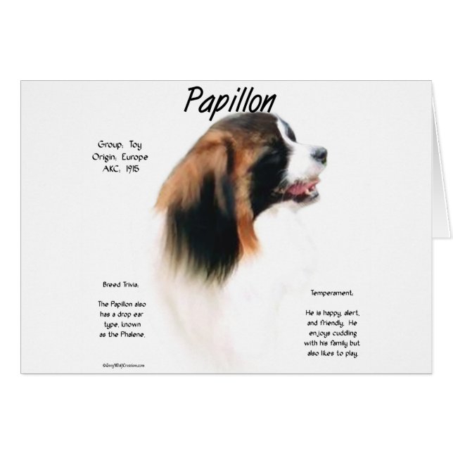 Papillon (Phalene) Geschichtsdesign (Vorderseite (Horizontal))
