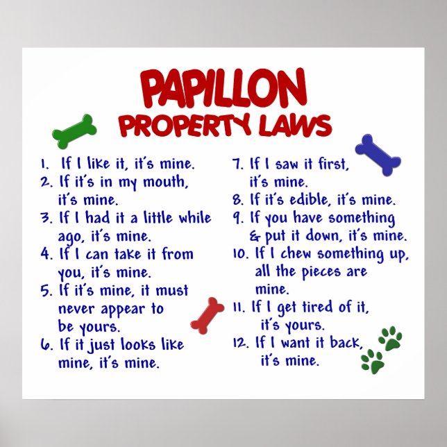 PAPILLON PL2 POSTER (Vorne)