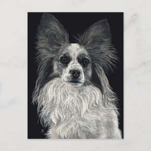 Papillon Postcard - "Glitzern" Postkarte